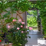 Apartmán & Primavera Pula