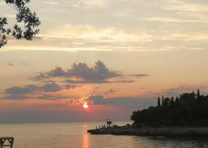Holiday & Primavera