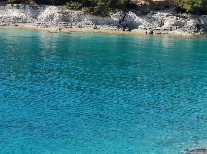 Holiday & Primavera *