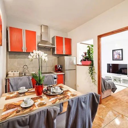 Apartament & Primavera *