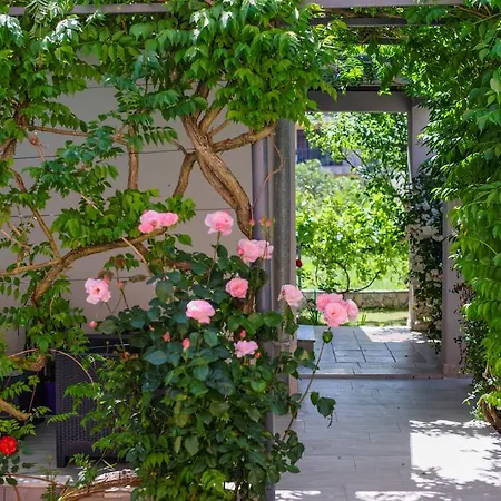 Apartament & Primavera Pula