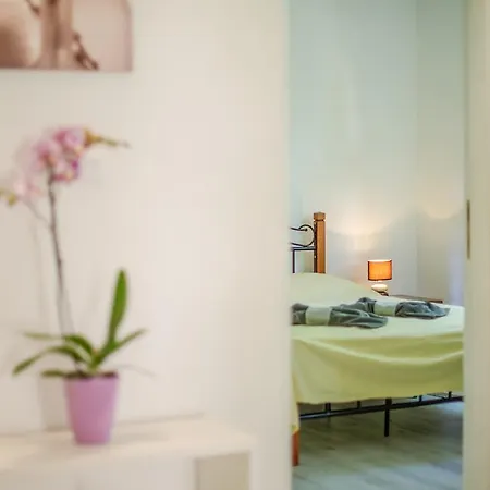 아파트 & Primavera 풀라