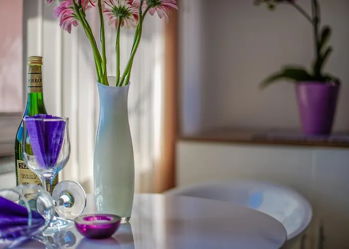 & Primavera Пула