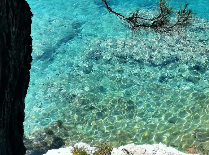 & Primavera Апартаменти *